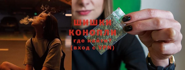 ALPHA PVP Гусев
