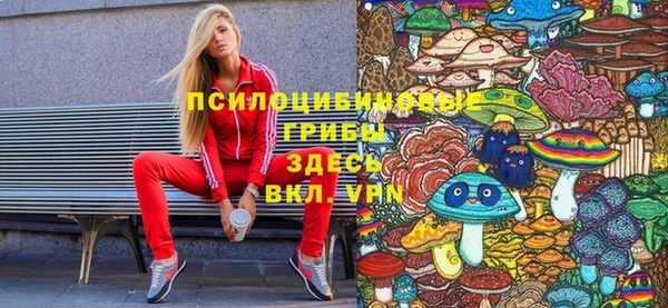 ALPHA PVP Гусев